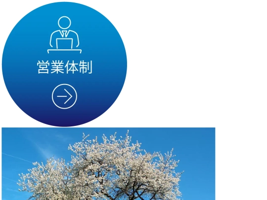images/webp-image screenshot