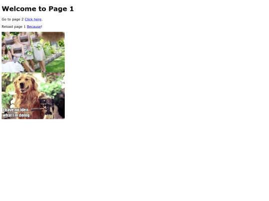 proxy/page1 screenshot