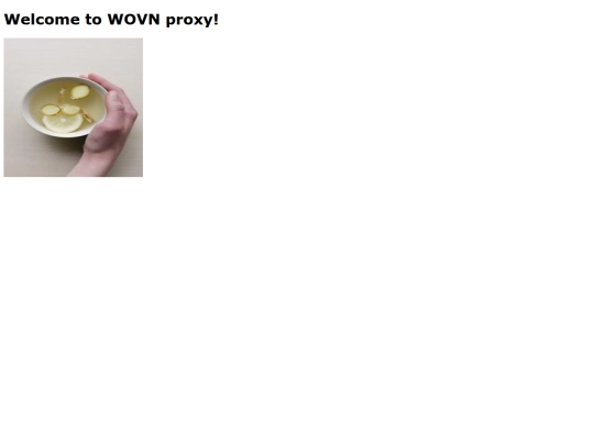 proxy/wovnproxy screenshot