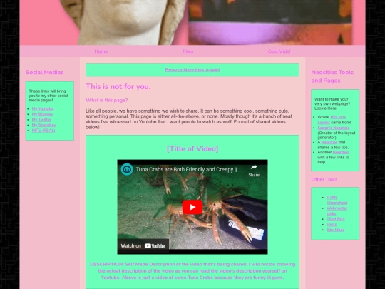 coolvids screenshot