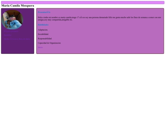 hoja_de_vida screenshot