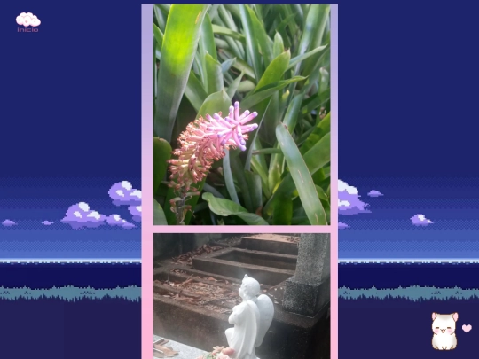 fotospagina2 screenshot