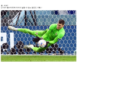goal screenshot