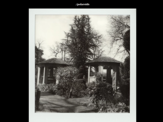 polaroidpage screenshot