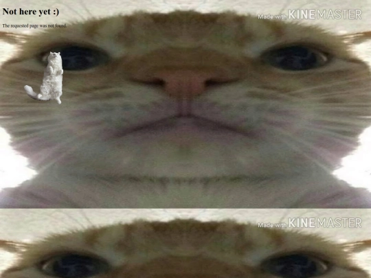 benny screenshot