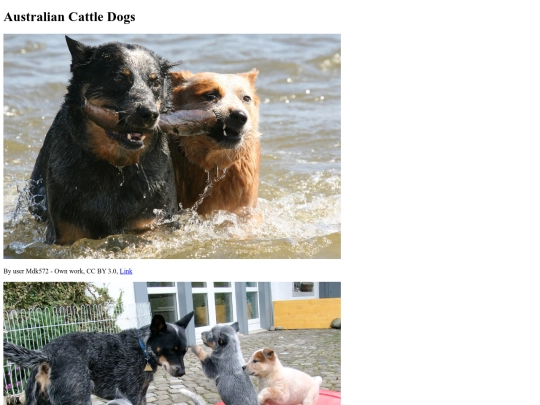 herdingdogs screenshot