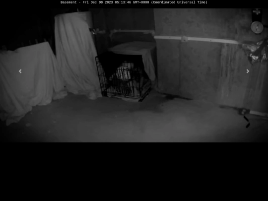basement screenshot