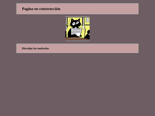 construccion screenshot