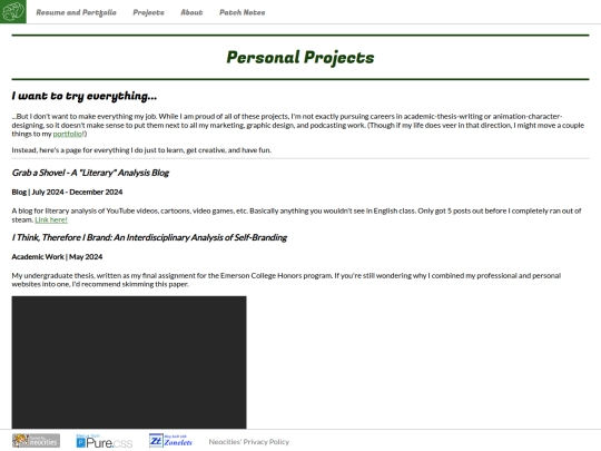 projects screenshot