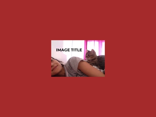 hover/image-hover screenshot