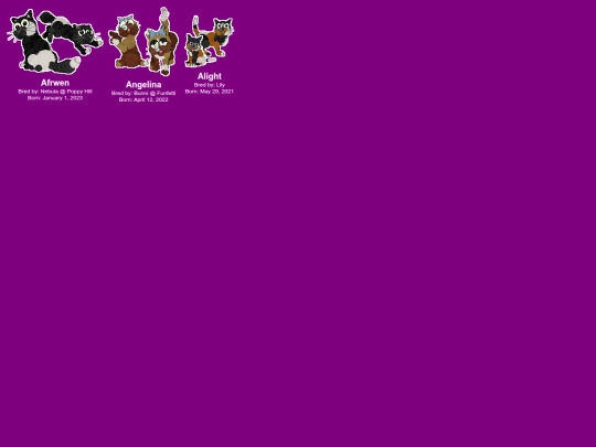 bws screenshot