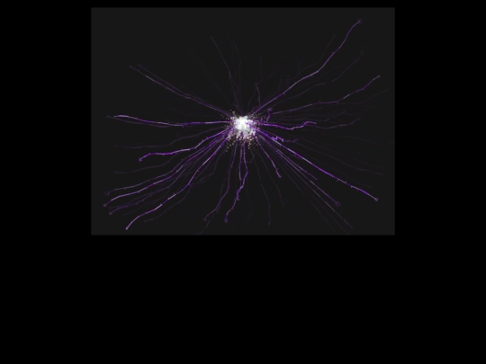 2019/sparks screenshot