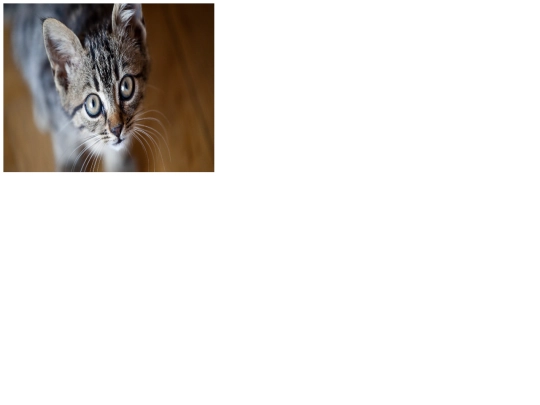 TensorFlow/test/p5Tensor screenshot