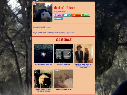 artist/doin-fine screenshot