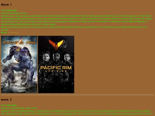 website2 screenshot