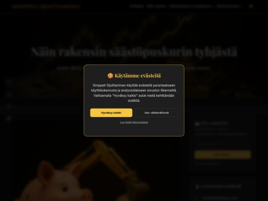 nain-rakensin-saastopuskurin-sijoittamalla screenshot