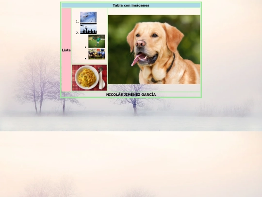 Imágenes./Listasimagen screenshot