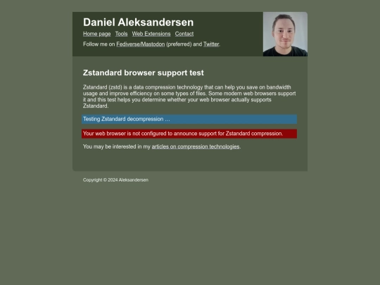 tools/zstd-browser-test screenshot