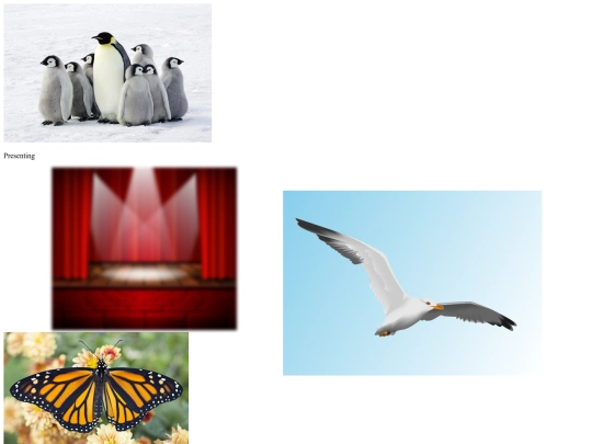 Imitation Assignment/Imitation screenshot