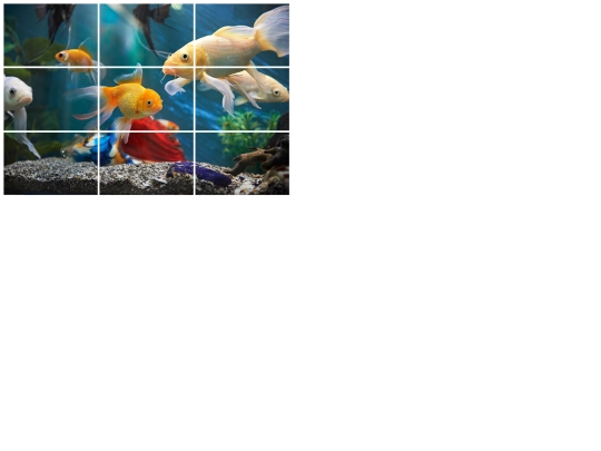 puzzle/puzzle screenshot