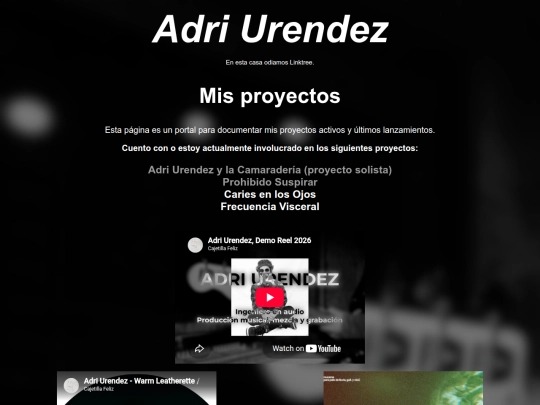 proyectos screenshot