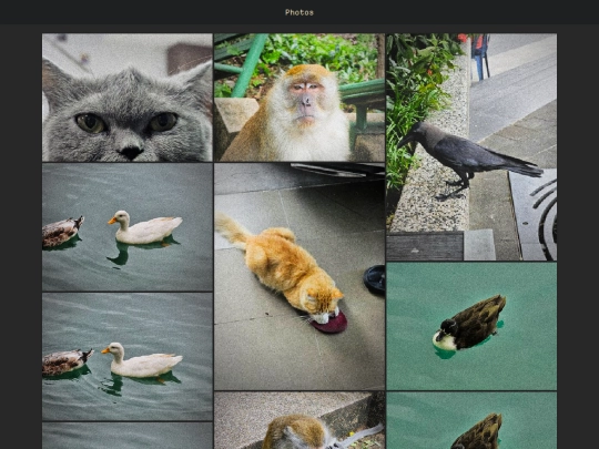 photos screenshot