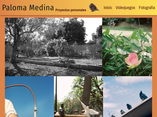 fotografia screenshot