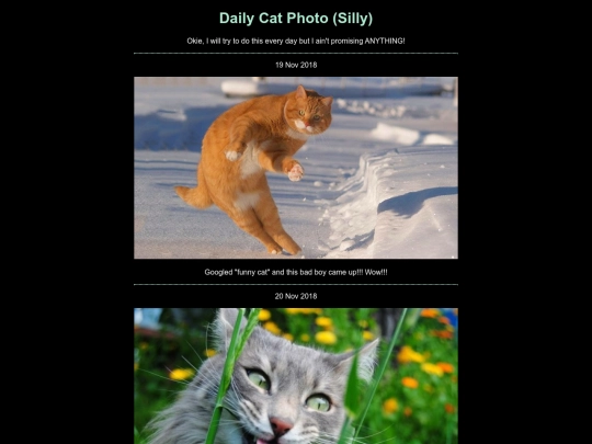 dailycatphoto screenshot