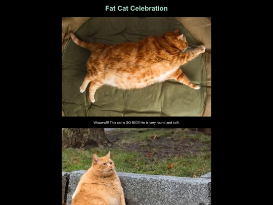 fatcatcelebration screenshot
