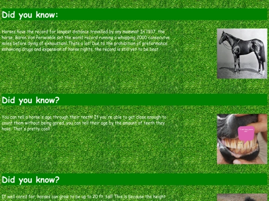 horsefacts screenshot
