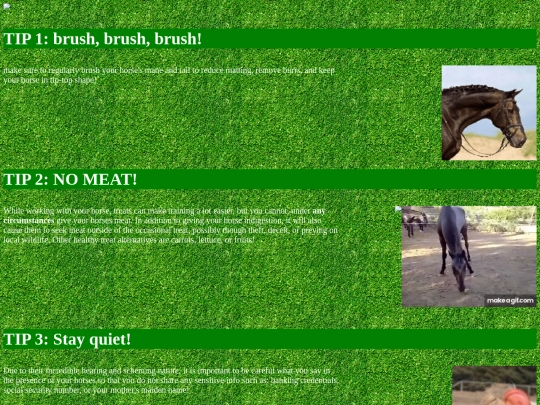 horsetips screenshot