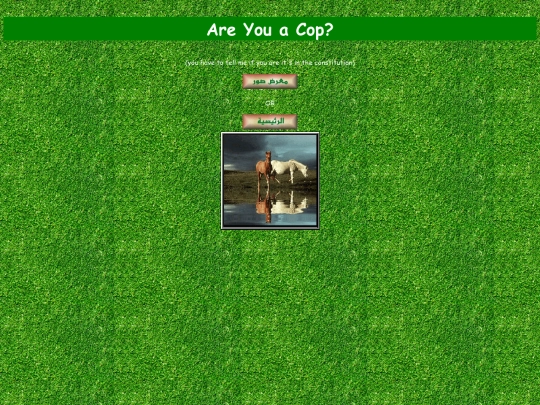 secret screenshot