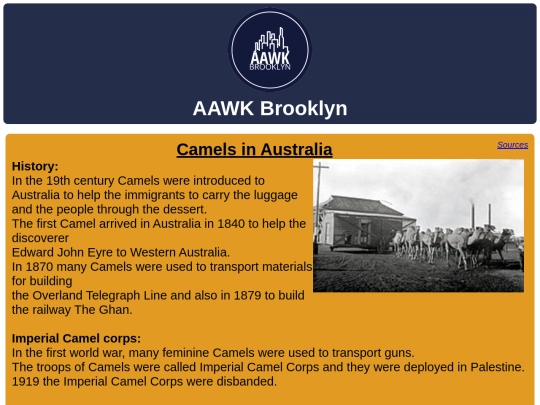 Camels_in_Australia screenshot
