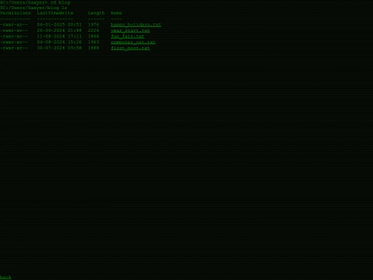 blog screenshot