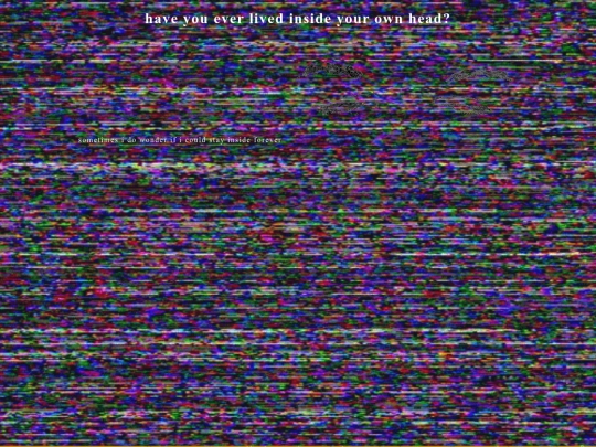 bee screenshot