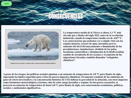 pagina/consecuencias screenshot