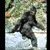 friendlybigfoot's avatar
