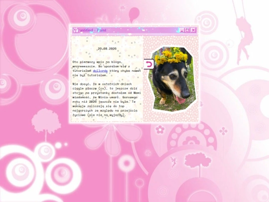 Blog/Wpisy/20.08.2026 screenshot