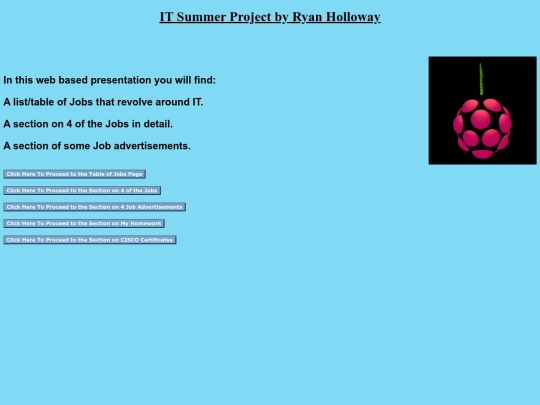Summer_Project screenshot
