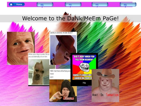 meempage screenshot