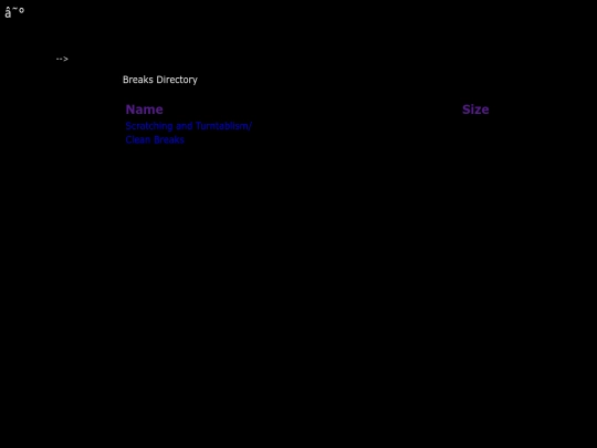 dir screenshot