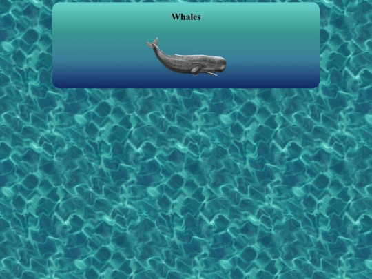 HTML_folder/aquarium/whale screenshot