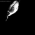 contrastgoose.neocities.org avatar
