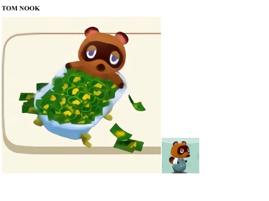tomnook screenshot