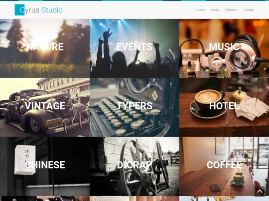 Portfolio screenshot
