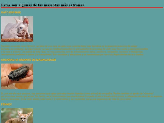 mascotas screenshot