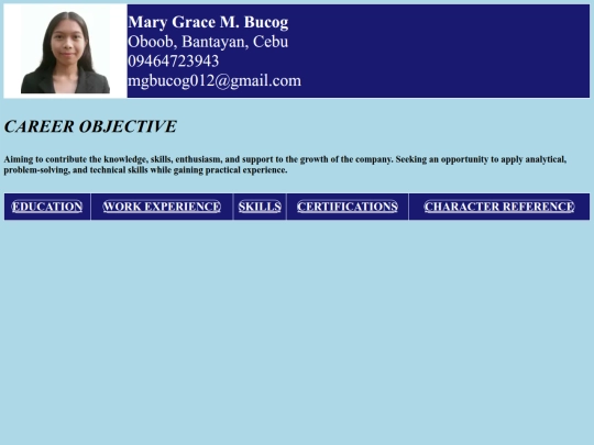 Resume screenshot