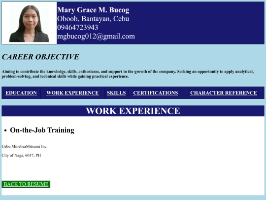 Work Experience screenshot