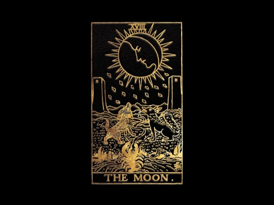 TheMoon screenshot