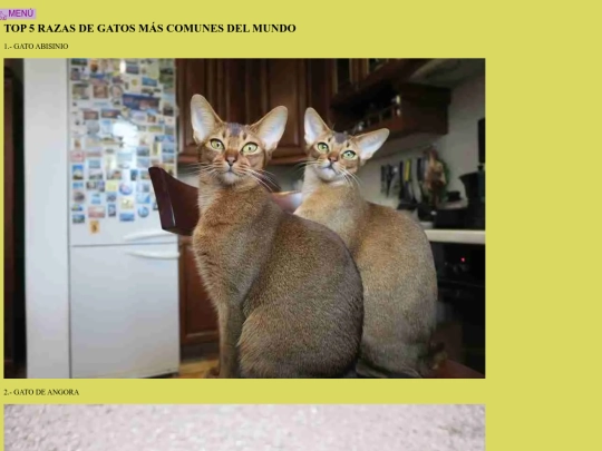 razas_gatos screenshot